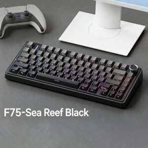 Reef Black