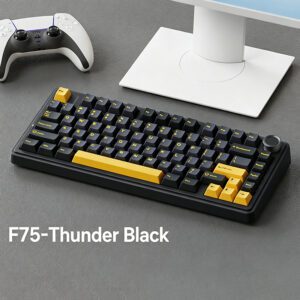 Thunder Black