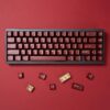 PAYSON Semi-Transparent Keycaps