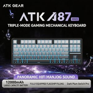 Phantom Black-Dark Plum Switch Pro