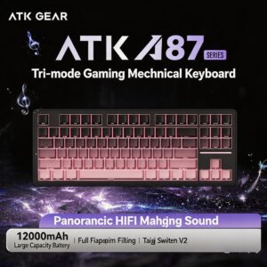 Blackberry Pink-Taiji Switch V2