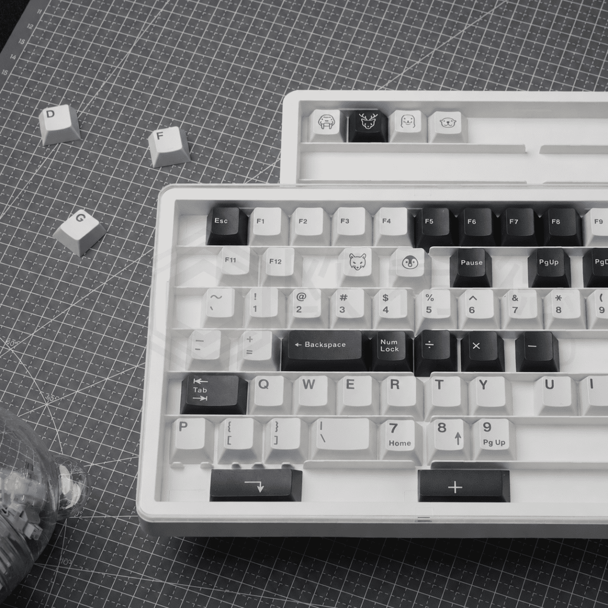 HEK Divided Keycap Storage Box