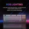 VGN V87 Tri-Mode Mechanical Keyboard
