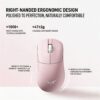 VGN Flying Dragon Y2 Wireless Mouse