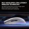VGN Flying Dragon Y2 Wireless Mouse