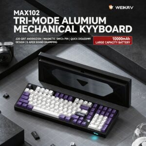Anodized Black - Lavender - Coconut Switch