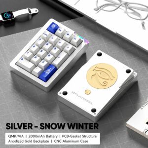 Anodized Silver Cocoon Break Edition Coconut Switch Snow Winter