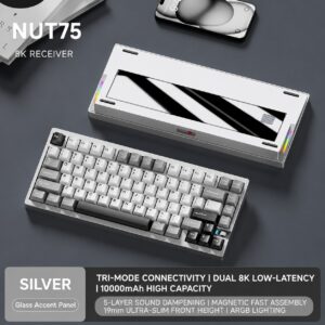 Anodized Silver - Moonlight - Lingyu Switch - Glass Backplate