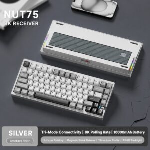 Anodized Silver - Moonlight - Naihuang Switch - Brushed Backplate