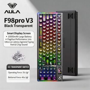 Black Transparent Ice Soul Switch