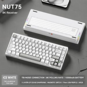 Electrophoretic Cool White - Cloud White - Naihuang Switch Brushed Backplate