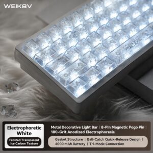 Electrophoretic Cool White Satin Carbon Texture with Coconut Switch