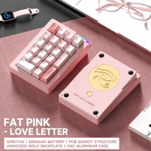 Electrophoretic Pink Cocoon Break Edition - Coconut Switch Love Letter