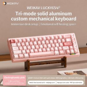 Electrophoretic Pink Sublimation Love Letter with Coconut Switch