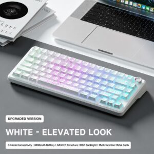 White Contour with Coconut Switch