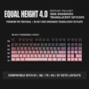 HEK Contour 4.0 Blackberry Shine-Through PBT Keycaps