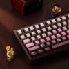 HEK Pink Gradient Metallic Paint OEM Keycap Set