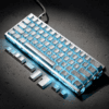 HEK Silver Carbon Keycaps