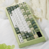 taobao-7-ai-custom-23 HEK Spring Ode Keycaps