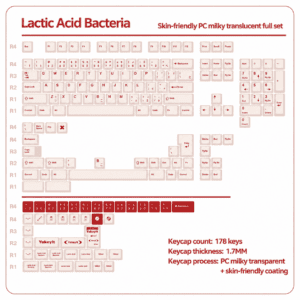 Soft Jade Lactic Acid - 178 Keys