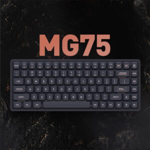 MG75 Night Black