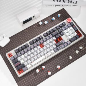 Radiance - Arctic Fox Switch