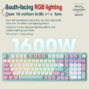 tmall-2-ai-translate-6 SKN Qinglong 4.0 Ultra Mechanical Keyboard