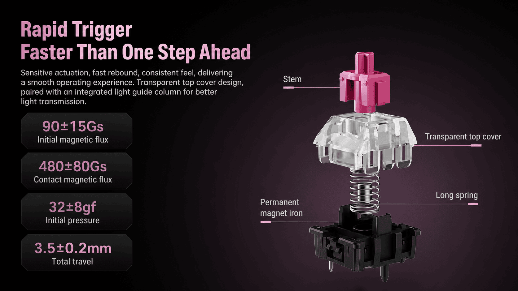 tmall-detail-24-ai-custom.png