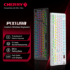 tmall-1-ai-custom-14 CHERRY PIXIU98 Mechanical Keyboard