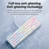Cherry MX3.1 Mechanical Keyboard