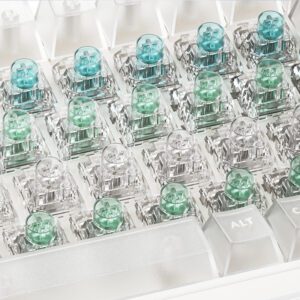 Jellyfish Pro 3 - Type Mixed Pack * 3 Each