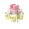 TTC Gold Pink V3 Mechanical Switches