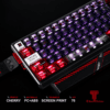 Titan Nation ZAKU Ruby Shine-Through Keycaps