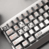 taobao-3-ai-custom HEK Time V2 Silver Feather PC Keycaps