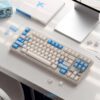 Blue Transparent Bird-Themed PBT Keycap Set