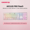 CHERRY MX 3.0S PRO Mechanical Keyboard