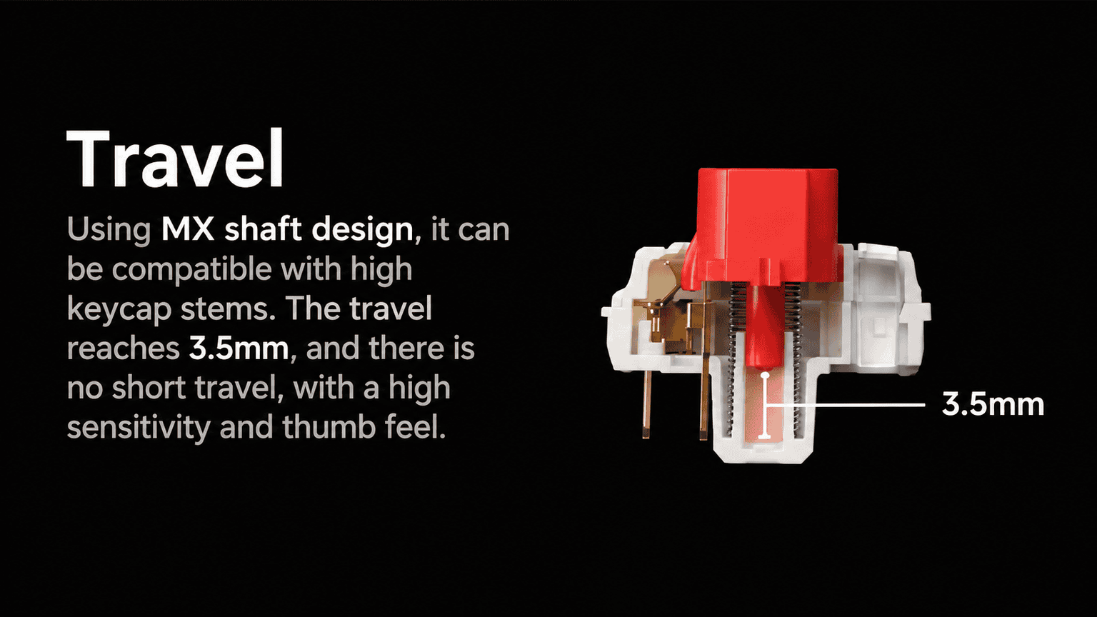 tmall-detail-19-ai-custom.png